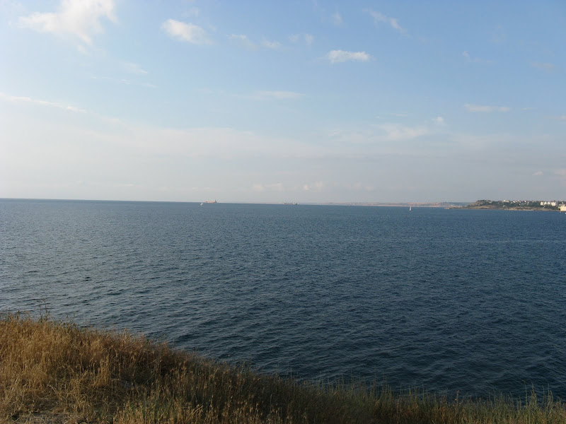 «На небе только и разговоров, что о море» gonchaya's blog